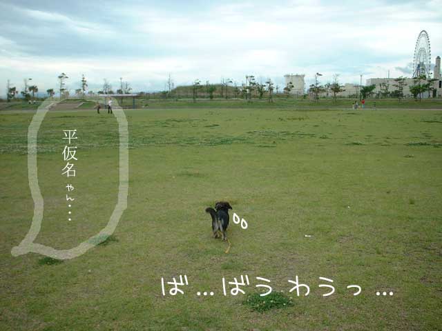 040902.jpg