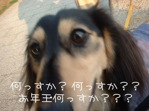 050103b.jpg