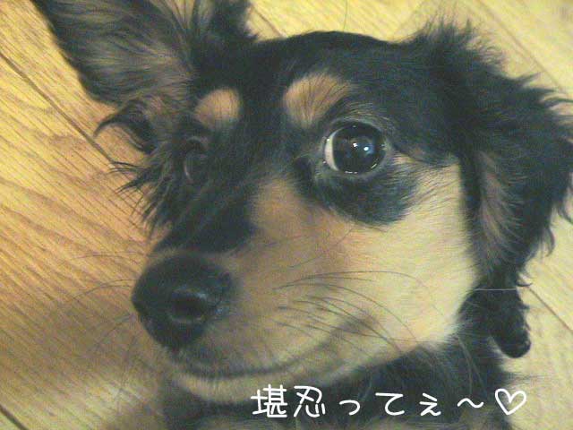 050418.jpg