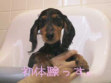 050502b.jpg