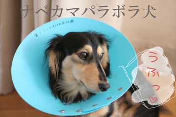050611a.jpg
