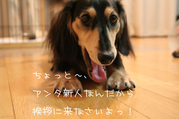 050918a.jpg