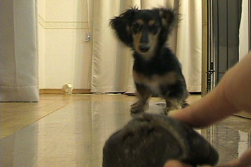 050928.jpg