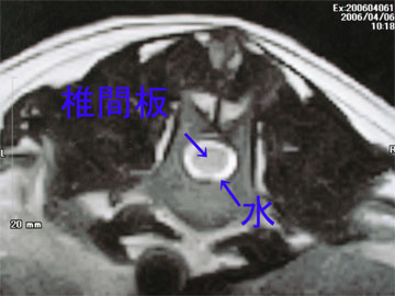 060406c.jpg
