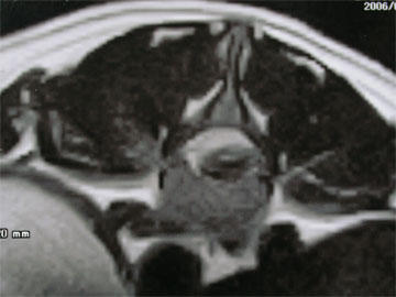 060406d.jpg