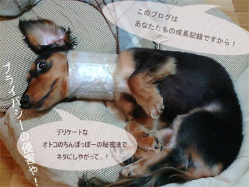 070727b.jpg