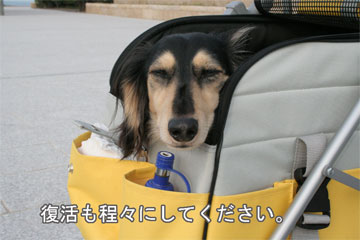 070805c.jpg