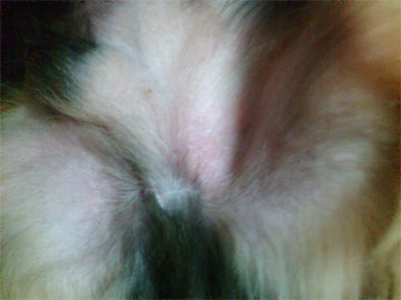 080125a.jpg