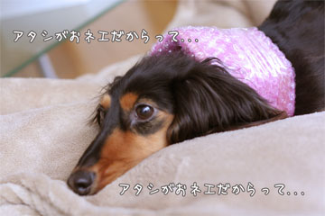 080126a.jpg