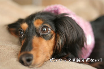 080126b.jpg