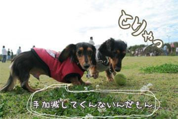 081012f.jpg