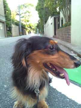 120603f.jpg