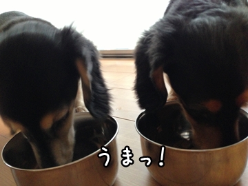 130815d.jpg