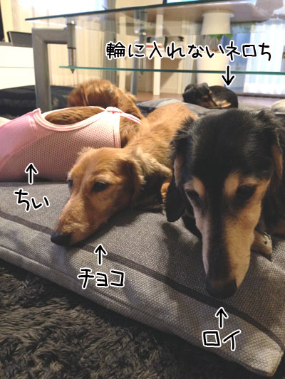 140626c.jpg