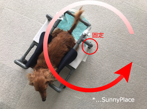 犬用車椅子 歩行器 のdiy Sunny Place